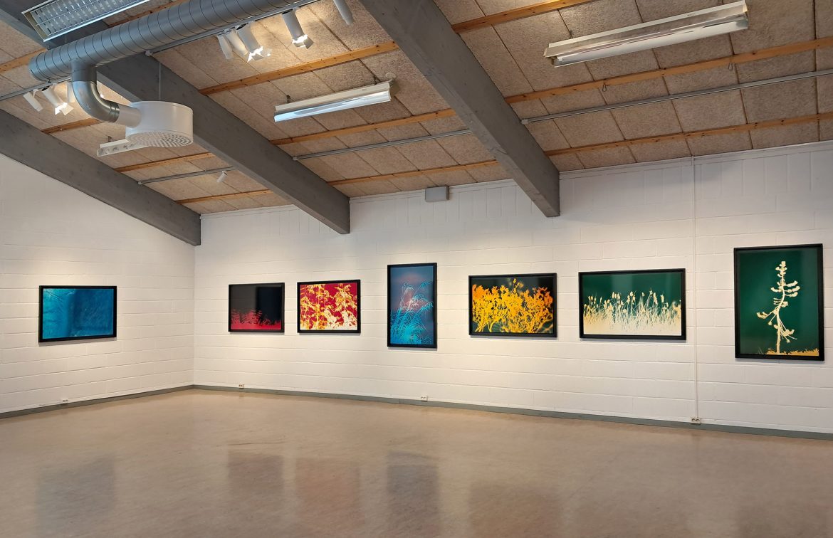 Hendrik Zeitler i Rättviks Konsthall: Ljus och beröring – Kameralösa fotografier från Abisko och Hammarkullen